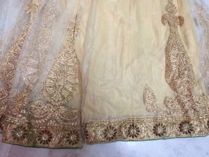 Lehenga Skirt With Jari Work On Net