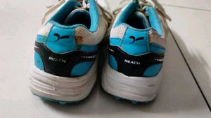 Sega Cricket Stud Shoe For player