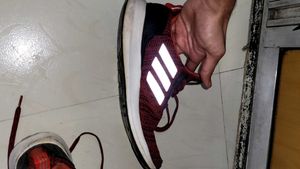 Adidas Shoes