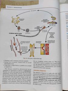 Medical Parasitology Book