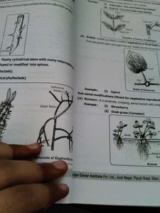 Biology for Pre-Medical