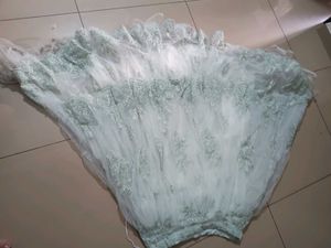 Mint Green Embroidered Lehenga