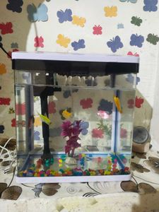 🐠 🐟 🐠 🐟 Fish Aquarium 🐠🐟🐠🐟