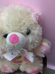 Mini teddy Bear