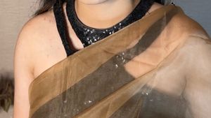 Ruffle Saree