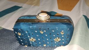 Elegant Embellished Clutch