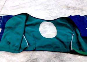 Blue Colour Silk Blouse Temple Border