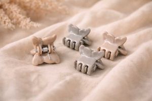 Aesthetic butterfly mini clips and claw clip set