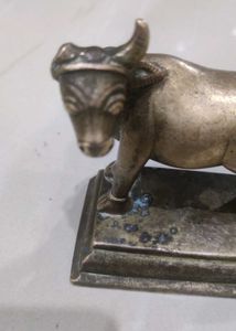 Brass Cow 🐄  One Horn Broken