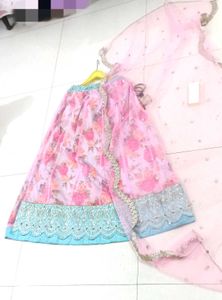 pastel pink And Blue Cute Lahenga✨