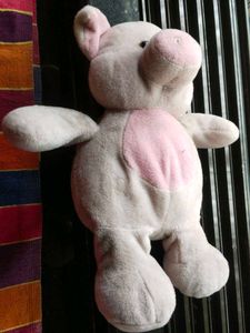 Teddy Bear 🩷 Pink