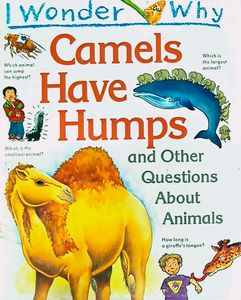 I Wonder Why Series Children Books 📚