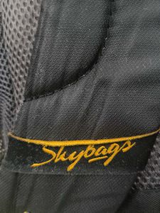 Skybags School Bag