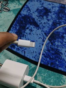 iPhone  20W-C Adapter With Cable
