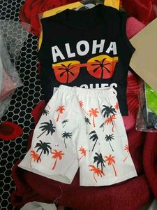 Summer Collection