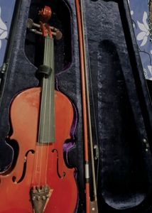 Violin On Offer