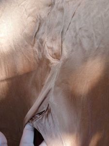 Brown Wide Leg Pants