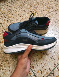 Asian Sports Shoes For Men, Women, Children