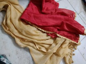 Set Of 2 Designer Dupattas