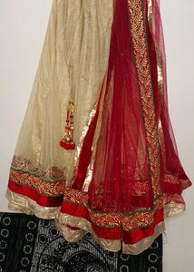 Velvet Net Lehenga