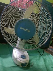 Fan