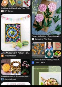 Pistachios Shells 1kg