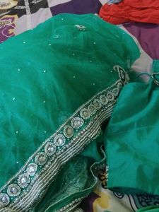 Green Embellished Saree &amp; Blouse