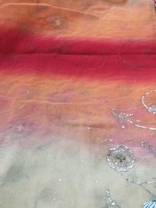 Embroidered multi colored saree