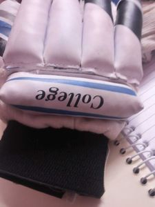 Cricket Batting Gloves At Very Low Cost
