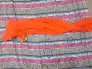 Organzo Flowering Suit With Plazo