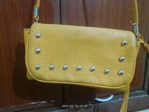 Mustard Color Purse