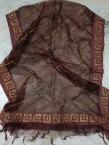 Elegant Maroon &amp; Gold Dupatta