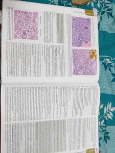 Textbook of Pathology