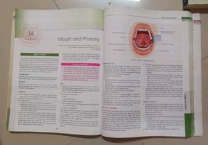 BD Chaurasia’s Human Anatomy Complete Set