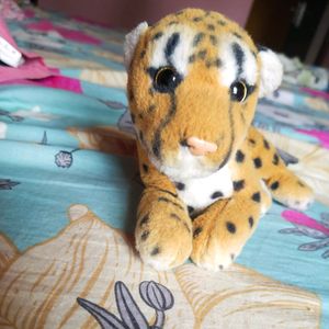Tiger 🐯