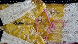 Elegant Two Tone Saree With Blouse