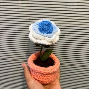 Chrochet Flower Pot