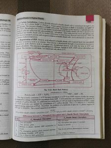 Companion Biology Class XI Vol I ,II