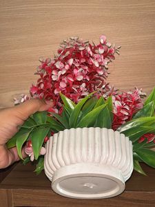 Floral Arrangement in White Pot
