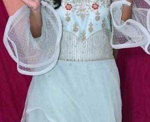 Elegant Ethnic Gown