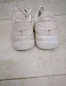 Sport Shoes New Condition
