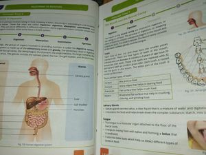 Lead School Class 8 Books