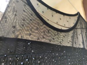 Black Coloured Top With Net On Neck And Arms