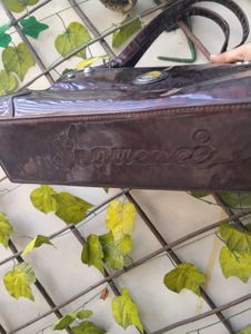 Metallic Brown Handbag