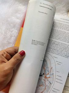 NEUROANATOMY TEXTBOOK