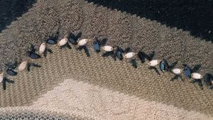 Stylish Knit Cardigan