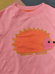 Cute Pink Hedgehog Sweatshirt