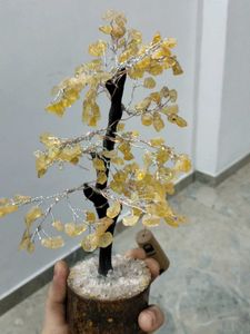 Tree Lam Show Piece