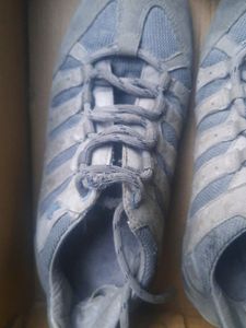 Woodland Shoes