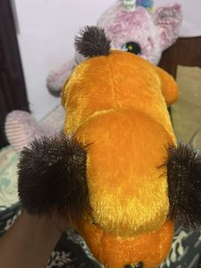 Toy Dog For Sale